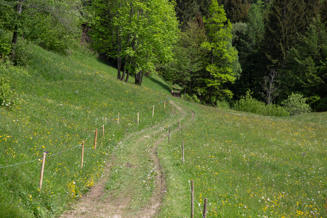 Somewhere along the trail