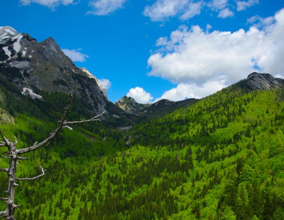 The magical Julian Alps