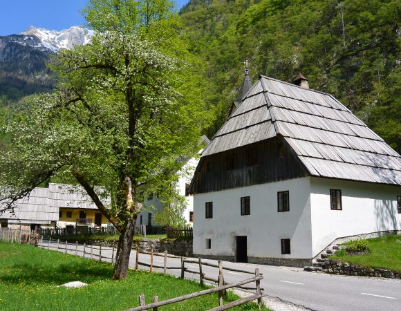 Discover Slovenia in 11 days